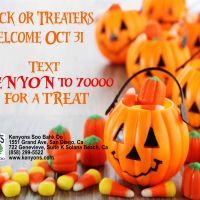 Trick or Treat By Text Message