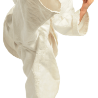 Ten New Students Guaranteed From A $24 Investment?